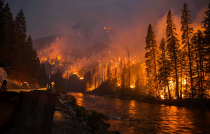 Wildfires, Summer Safety and Firewise