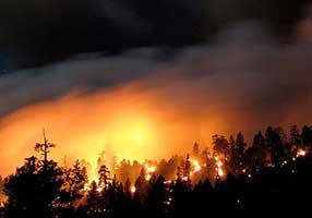 Forest Fire Weather Damage