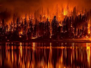 Wildfires, hot summer